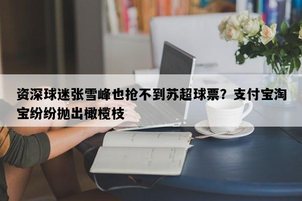 资深球迷张雪峰也抢不到苏超球票？支付宝淘宝纷纷抛出橄榄枝