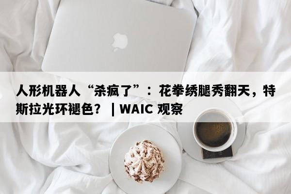 人形机器人“杀疯了”：花拳绣腿秀翻天，特斯拉光环褪色？ | WAIC 观察