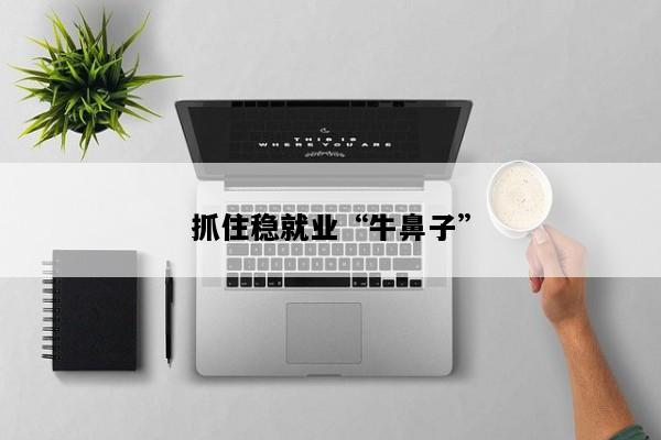 抓住稳就业“牛鼻子”