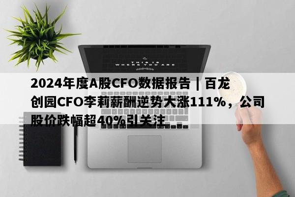 2024年度A股CFO数据报告 | 百龙创园CFO李莉薪酬逆势大涨111%，公司股价跌幅超40%引关注