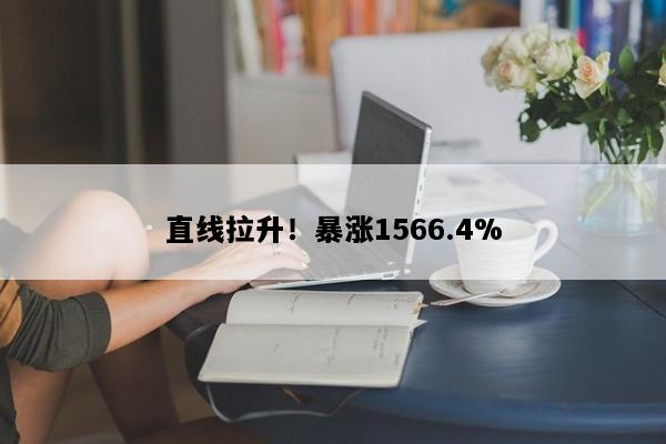 直线拉升！暴涨1566.4%