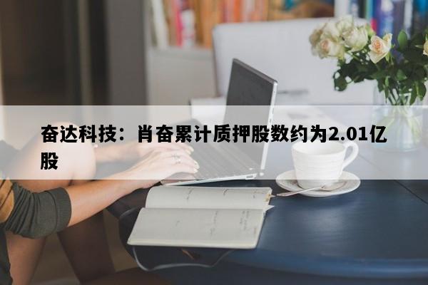 奋达科技：肖奋累计质押股数约为2.01亿股