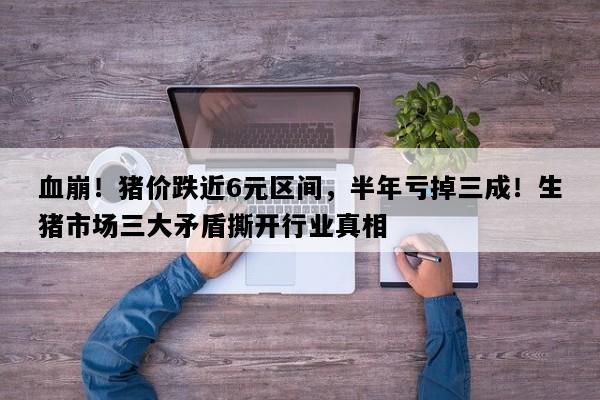 血崩！猪价跌近6元区间，半年亏掉三成！生猪市场三大矛盾撕开行业真相