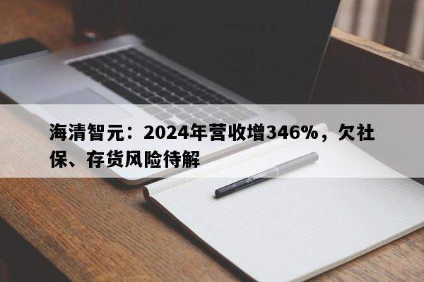 海清智元：2024年营收增346%，欠社保、存货风险待解